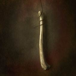 Bone Temple