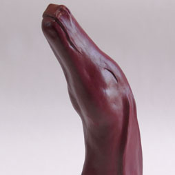 Red Deer